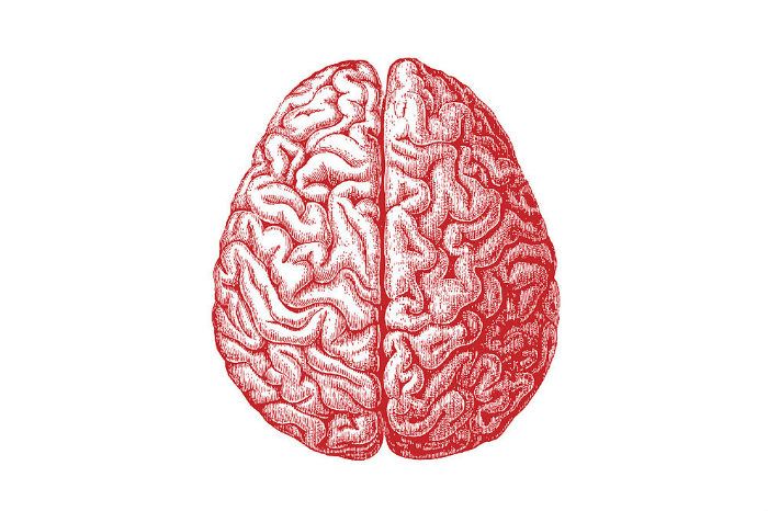 POINTER trial shows impact of lifestyle in Alzheimer’s disease